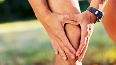 Dietary supplements supporting the protection of joints
